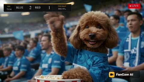 The poodle waves a paw at the camera